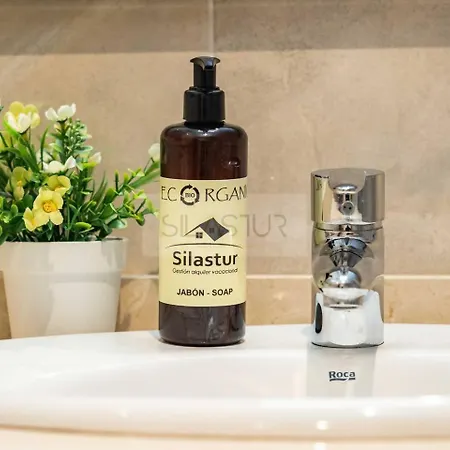 Mirador Al Naranco By Silastur Oviedo