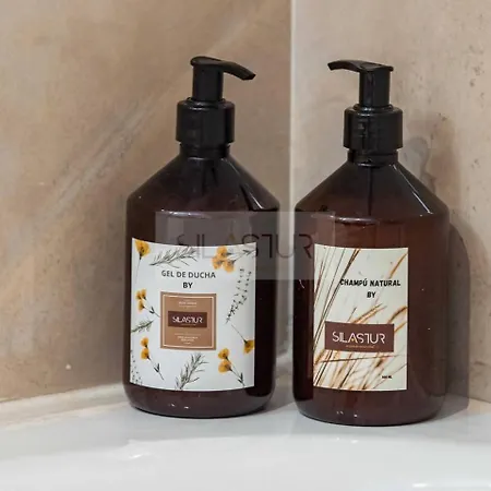 Apartment Mirador Al Naranco By Silastur *